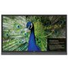 BenQ RP7502K touchscreen
