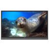 BenQ RP8602K touchscreen